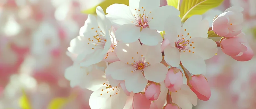 痛风患者要如何调整自己的健康习惯