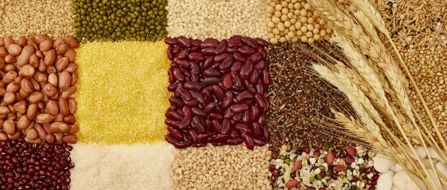 普通人如何采用性价比高的健康食谱