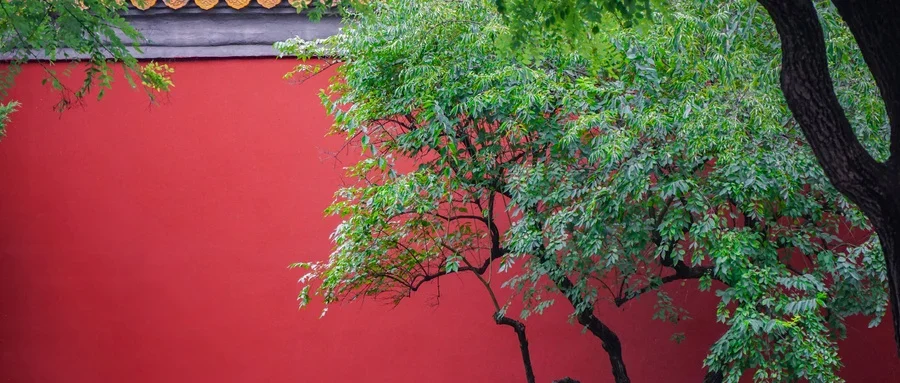 嗜酒如命的人越来越多,从生理到心理如何戒除酒瘾