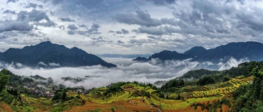 如何在日常饮食生活中,照顾养护好自己的肾