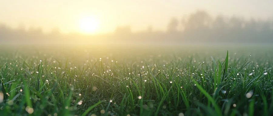 家长如何防止孩子近视