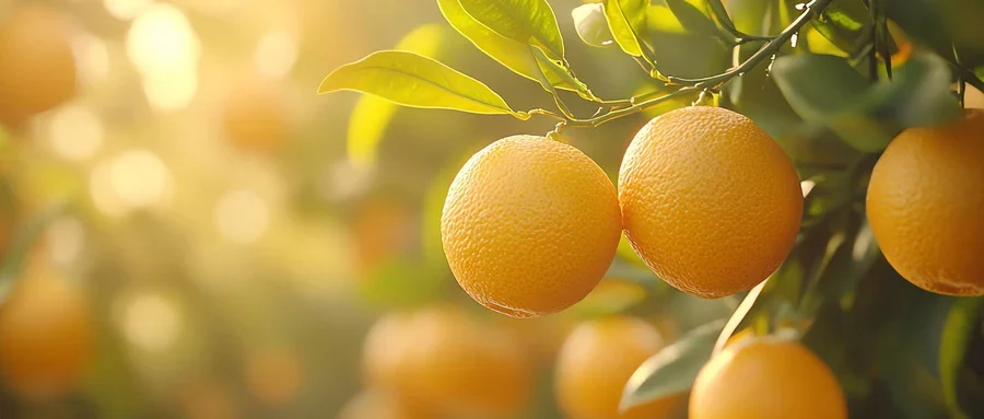 高血压患者如何运动健身