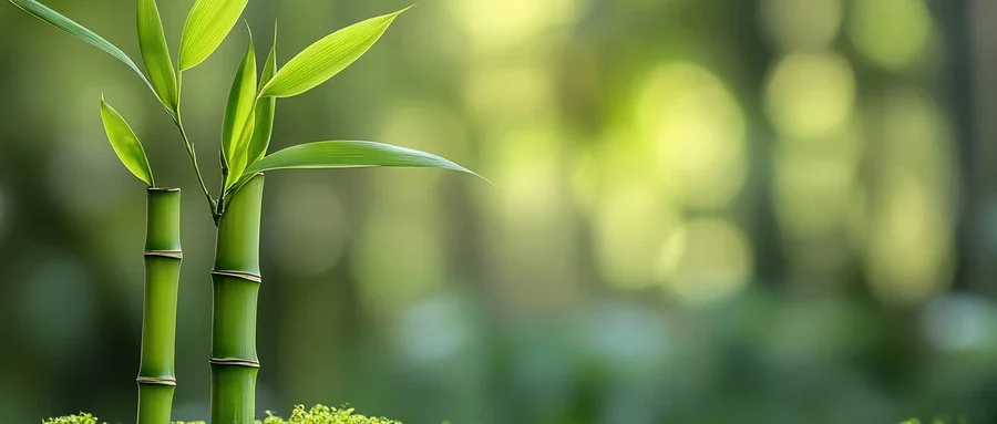 糖尿病的胰岛素治疗与药物治疗之区别