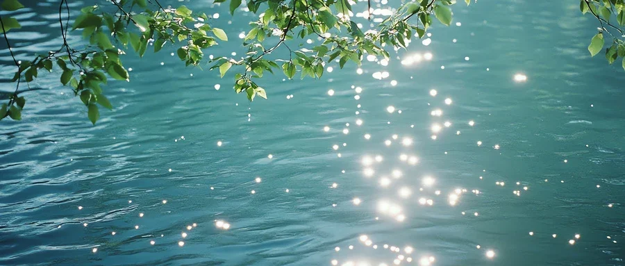 轻度断食真的对身体有好处吗