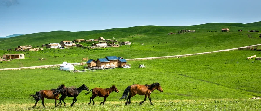 调整自我,告别失眠:打造健康睡眠的实用指南
