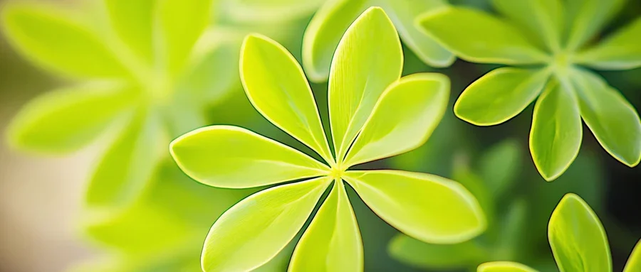 夏天容易致病的健康习惯有哪些，如何避免