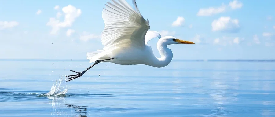 生活压力下,如何平衡喝酒解压与健康的矛盾