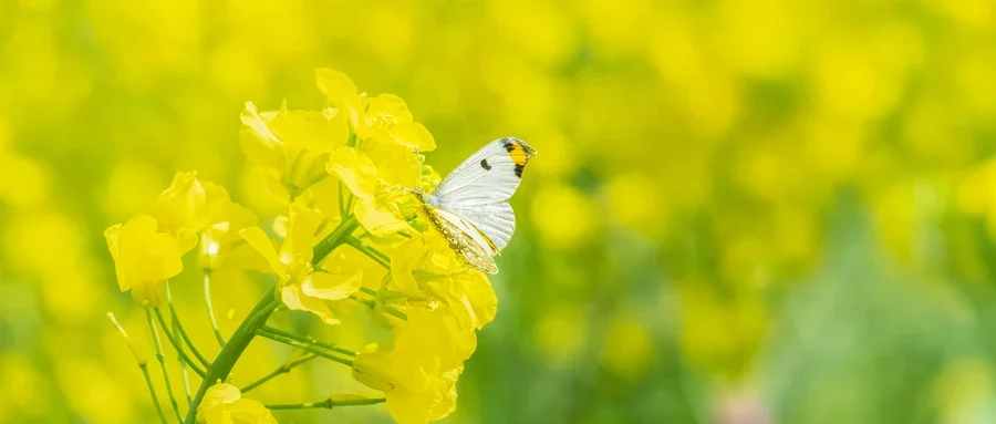 高血压患者如何运动健身