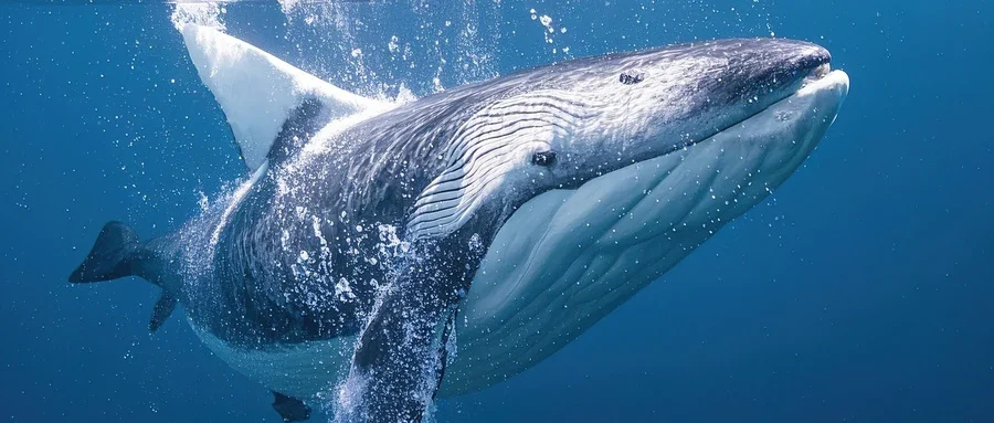 如何在日常饮食生活中，照顾养护好自己的肾