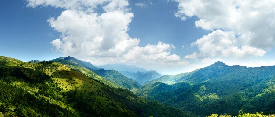 保护肝脏,拥抱健康