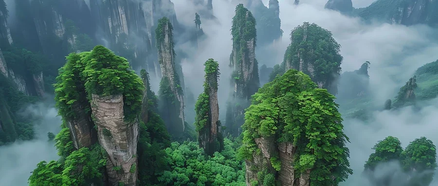 痛风发作期应该如何应对