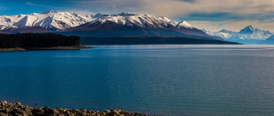 保护肝脏,拥抱健康