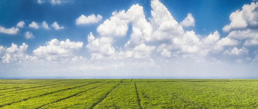 操作简单性价比高的健康方案