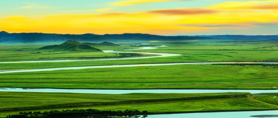 益生菌对人体健康的重要作用