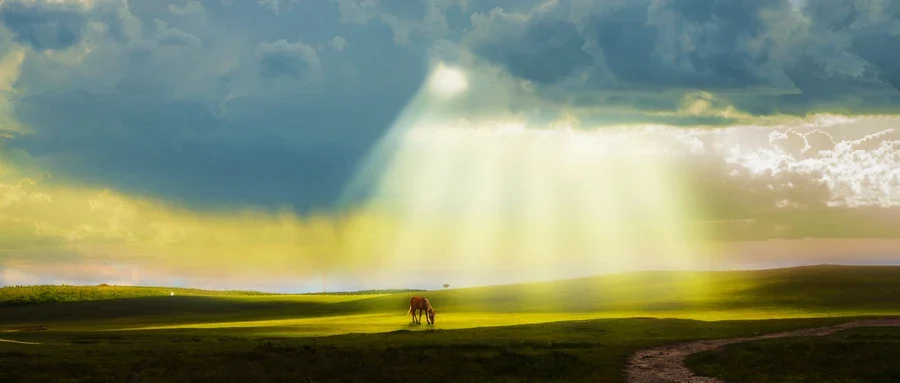 人生中重要的那些事！