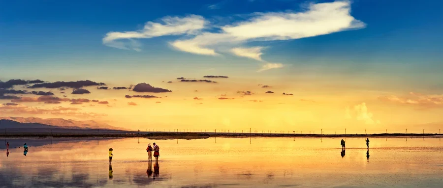 腰背部肌肉力量训练的动作有哪些?